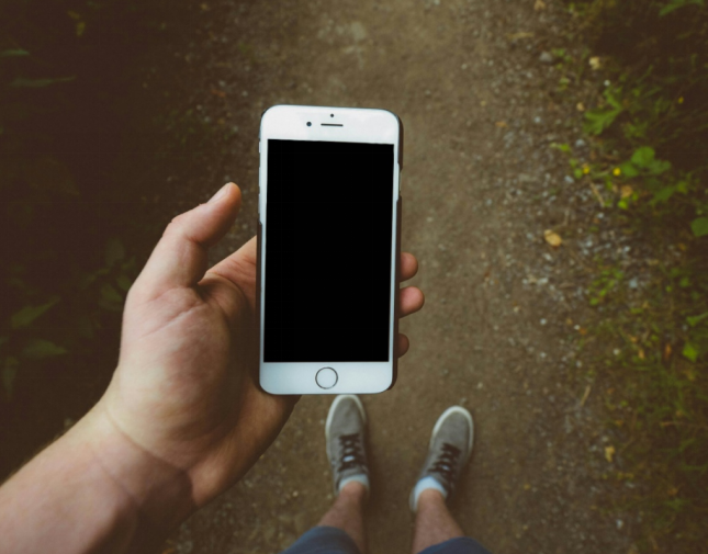 person holding a phone