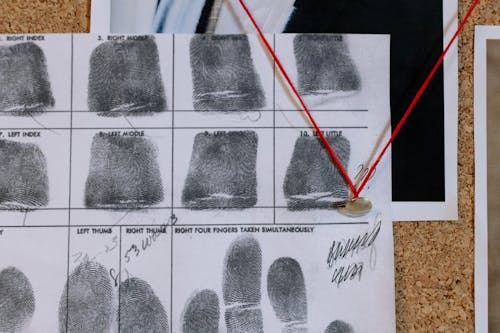 Close-up of fingerprints on paper used in forensic evidence analysis.